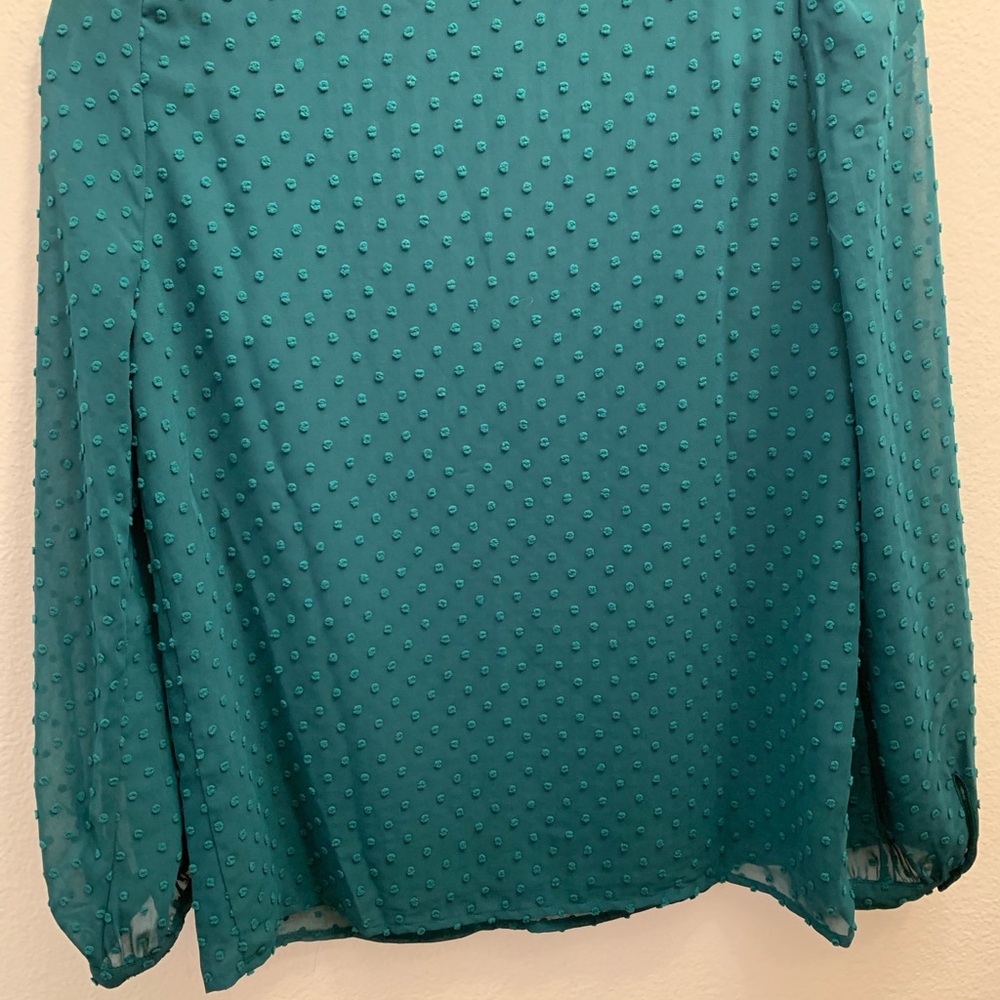 J.Crew Women's Green Swiss Dot Sheer Blouse Long Sleeve V Neck Top - Picture 3 of 6